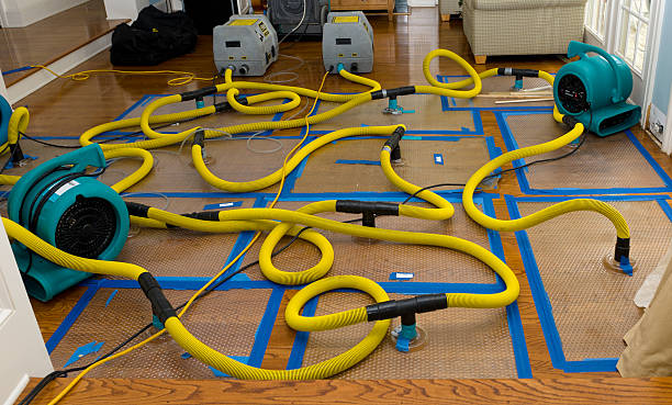 Professional Water Damage Restoration technician working in Stanton, NE